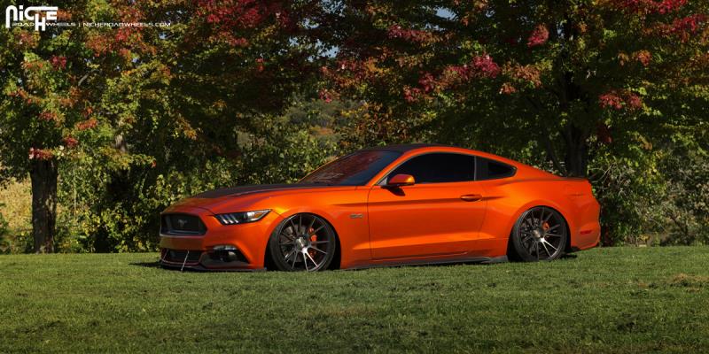 Ford Mustang Vicenza - M153